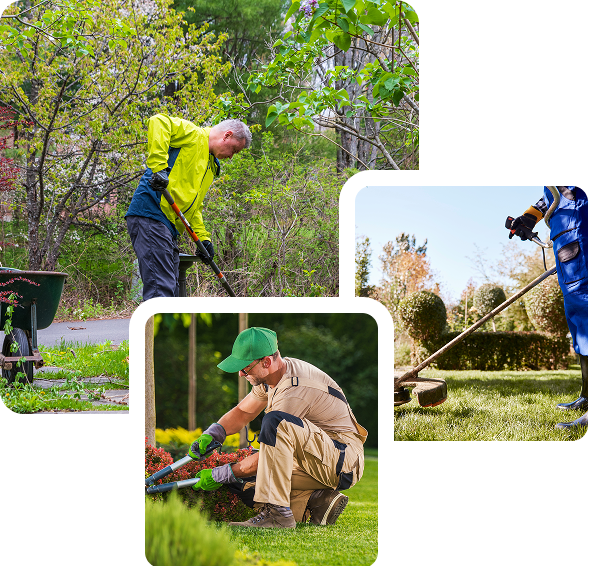 Gartenpflege & Winterdienst vom Fachbetrieb