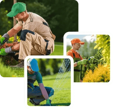 Untitled design (1)-min