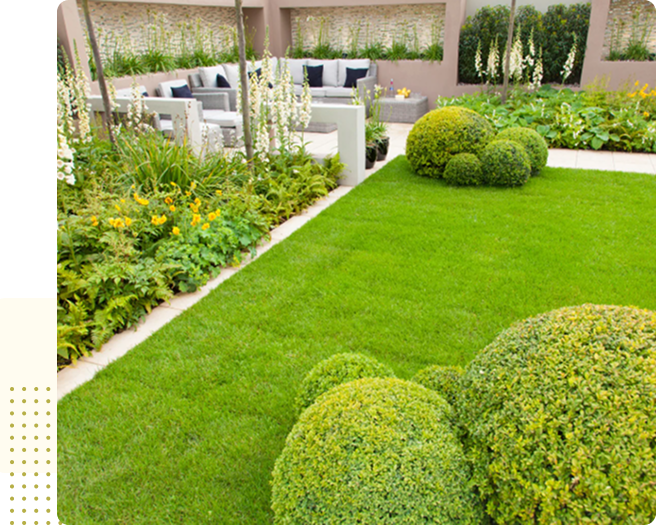 image 1-May-08-2025-06-18-21-9863-PM