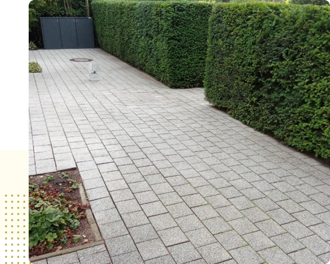 image 1-May-08-2025-06-20-20-8494-PM