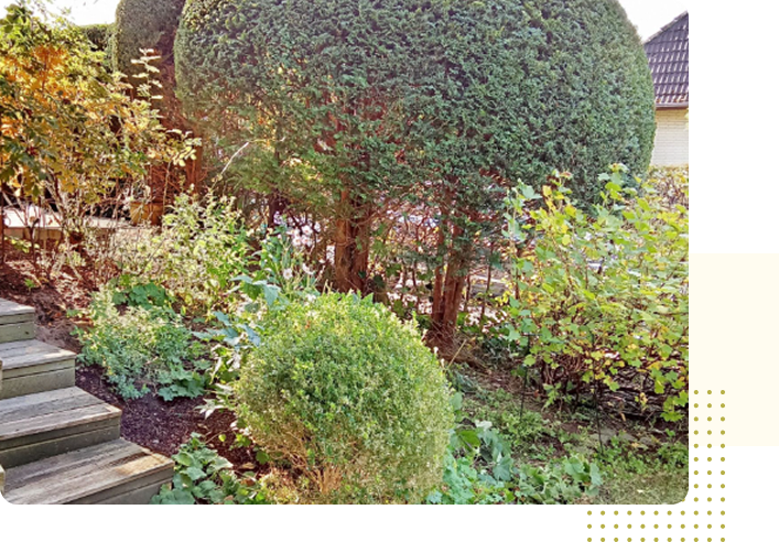 image 2-May-08-2025-06-20-48-5226-PM