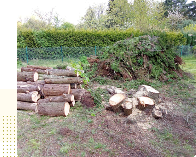 image 3-2
