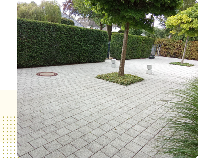 image 3-May-08-2025-06-21-19-3249-PM