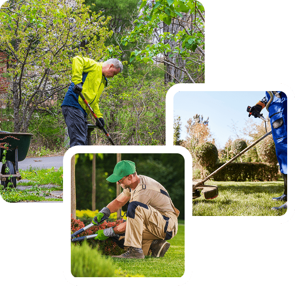 imgi_4_Gartenpflege & Winterdienst vom Fachbetrieb-min