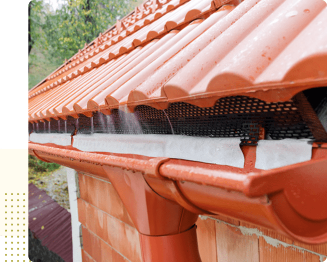 imgi_4_Image 1-May-08-2025-06-30-07-1228-PM-min