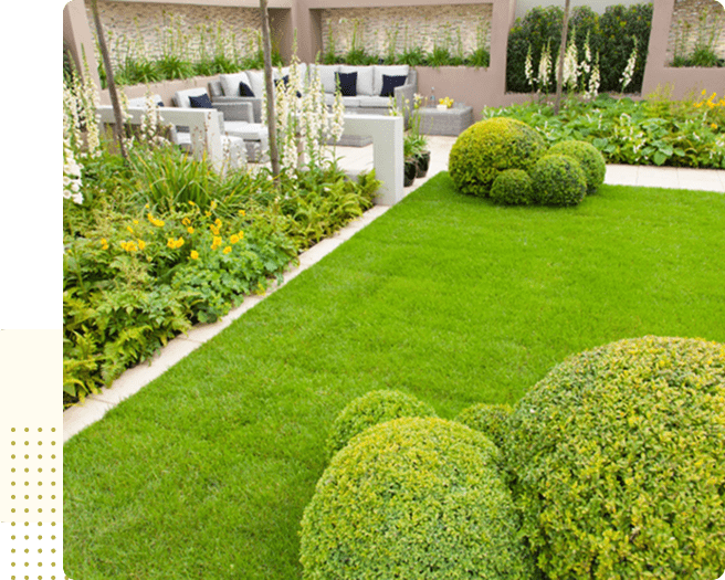 imgi_4_image 1-May-08-2025-06-18-21-9863-PM-min