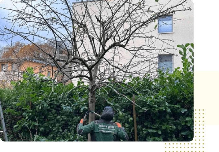 imgi_4_image 2-3-min