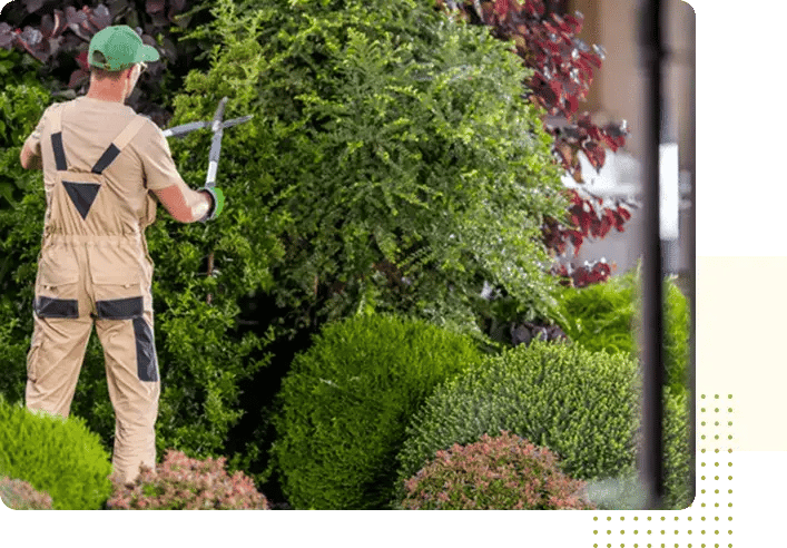 imgi_4_image 2-min-min