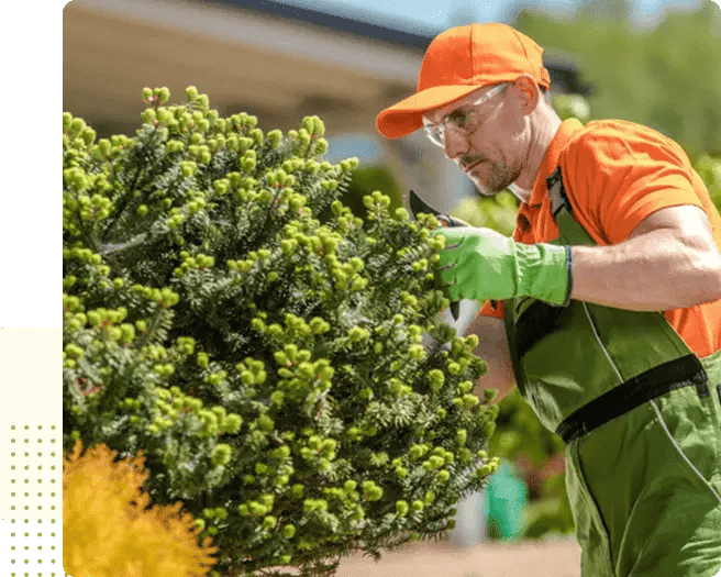 imgi_4_image 5-min-min